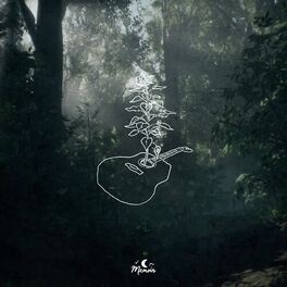 Album cover of Patience (Bloom)