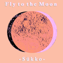 Album cover of Fly To The Moon