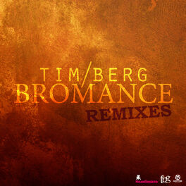 Album cover of Bromance Remixes