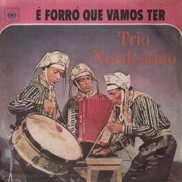 Album cover of É Forró que Vamos Ter