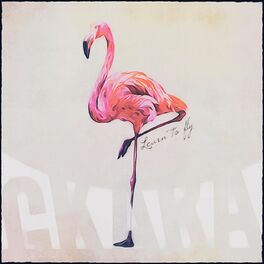 Album cover of Learn to Fly