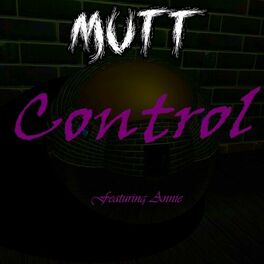Album cover of Control ft Annie (Metal version)