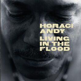 Album cover of Living In The Flood