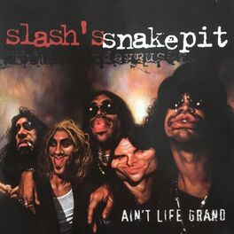 Album cover of Ain't Life Grand