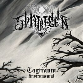 Album cover of Tagtraum (Instrumental)
