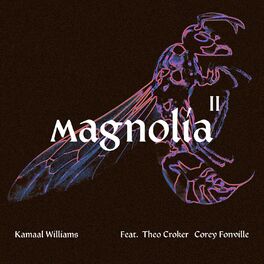 Album cover of Magnolia II
