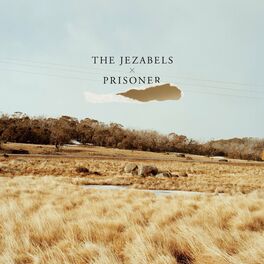 Album cover of Prisoner (Ten Year Anniversary Edition)