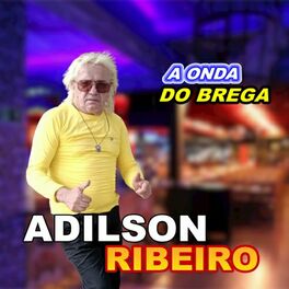 Album cover of A Onda do Brega