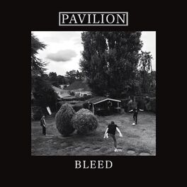 Album cover of Bleed