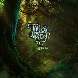 Album cover of Tree Falls