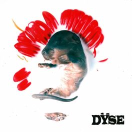 Album cover of Dÿse
