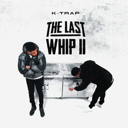 Album cover of The Last Whip II