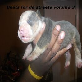 Album cover of Beats for the Streets, Vol. 3