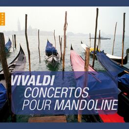 Album cover of Vivaldi: Concertos four Mandolin