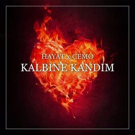 Album cover of Kalbine Kandim