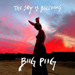 Album cover of The Sky Is Bleeding
