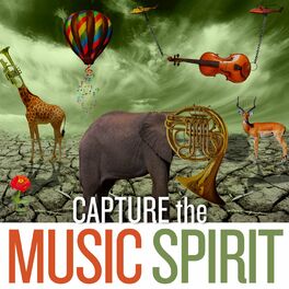 Album cover of Capture the Music Spirit