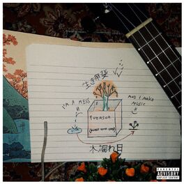 Album cover of I'm a mess and I make music