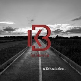 Album cover of Küllerinden