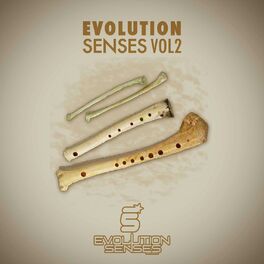 Album cover of Evolution Senses Vol2