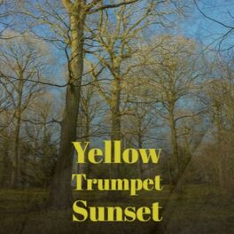 Album cover of Yellow Trumpet Sunset