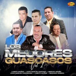 Album cover of Los Mejores Guascasos, Vol. 1