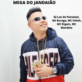 Album cover of Mega do Jandaião
