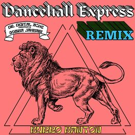 Album cover of Dancehall Express (feat. Burro Banton) (Remix)