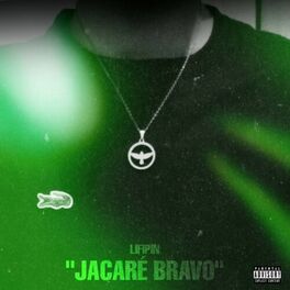 Album cover of Jacaré Bravo