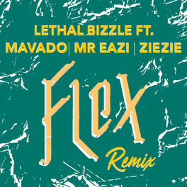 Album cover of Flex (Remix)