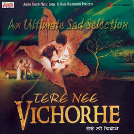 Album cover of Tere Nee Vichorhe