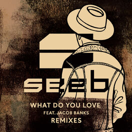 Album cover of What Do You Love (Remixes)