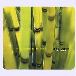 Album cover of activate