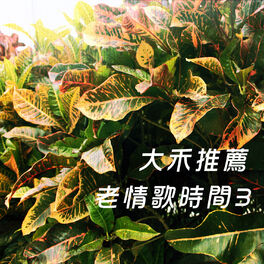 Album cover of 大禾推薦 老情歌時間-3