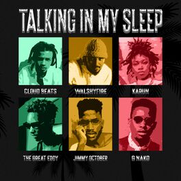 Album cover of Talking In My Sleep