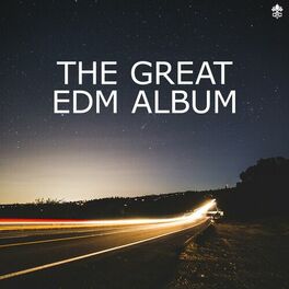 Album cover of The Great EDM Album