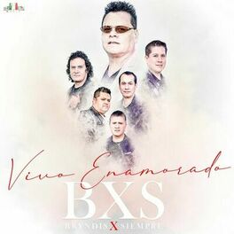Album cover of Vivo Enamorado