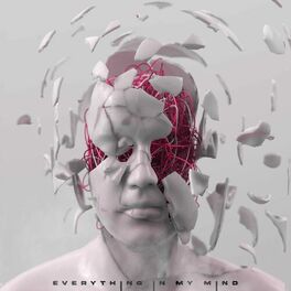 Album cover of EVERYTHING IN MY MIND