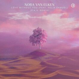 Album cover of Love Without You (P.A.V Remix)