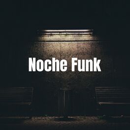 Album cover of Noche FUNK