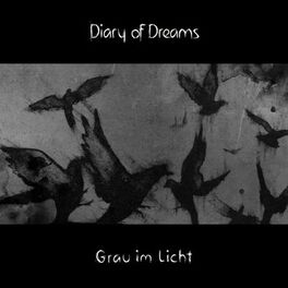 Album cover of Grau im Licht
