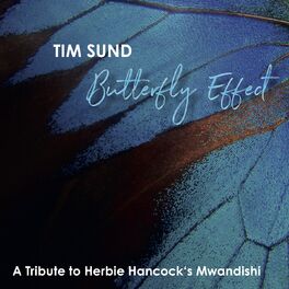 Album cover of Butterfly Effect (A Tribute to Herbie Hancock's Mwandishi)