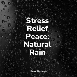Album cover of Stress Relief Peace: Natural Rain