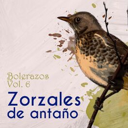 Album cover of Zorzales de Antaño - Bolerazos, Vol. 6
