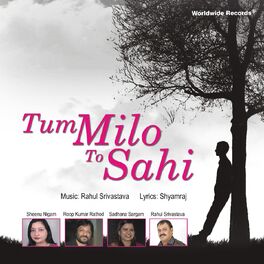 Album cover of Tum Milo To Sahi