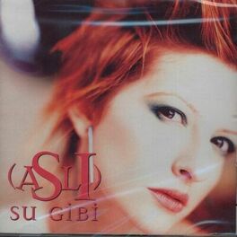 Album cover of Su Gibi