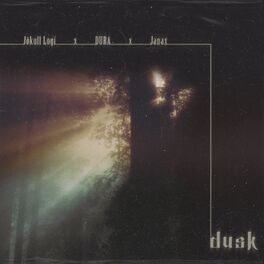 Album cover of Dusk