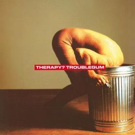 Album picture of Troublegum
