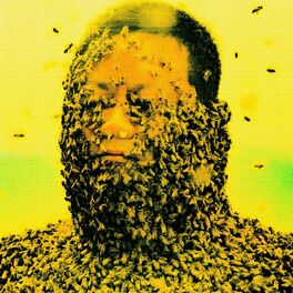 Album cover of Pollination