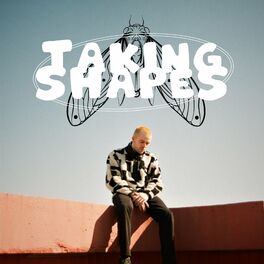 Album cover of Taking Shapes